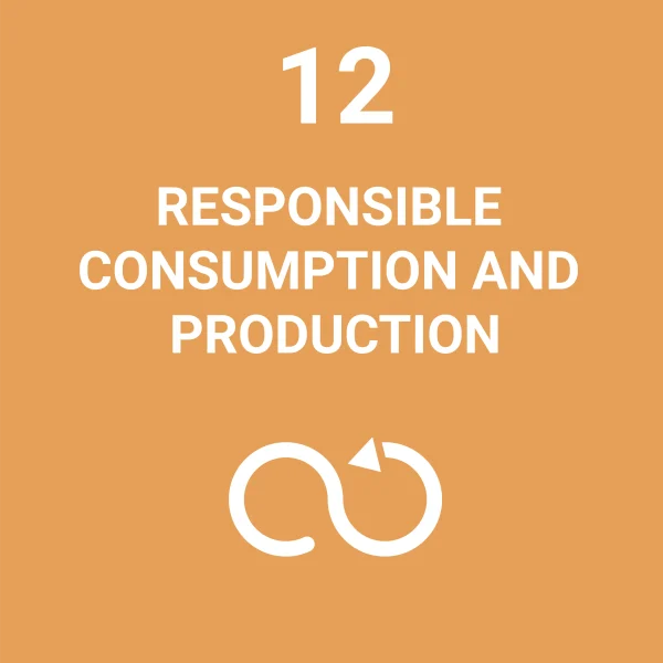 SDG 12